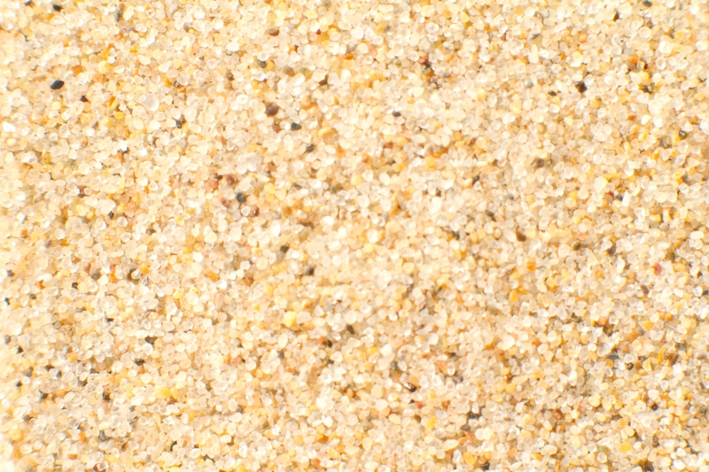 Nederland, Noord-Holland, Bloemendaal